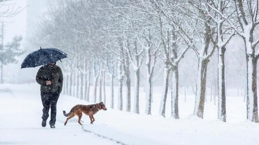 SUBE TU FOTO - Envíanos una instantánea de las nevadas de estos días.