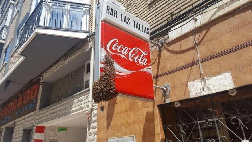 Retirado un enjambre del cartel de un bar