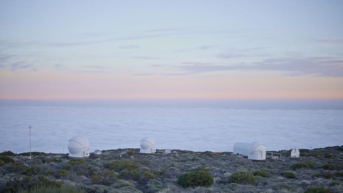 El tiempo primaveral en Tenerife es un motivo más para enamorarse de la isla esta Navidad.