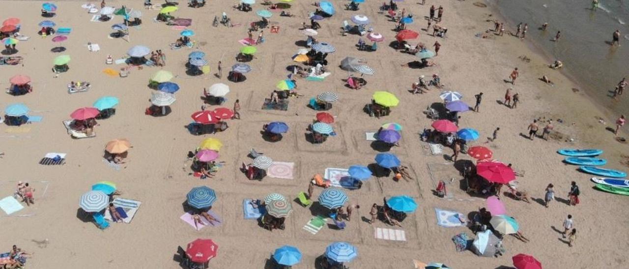 Playa de Gandia parcelada