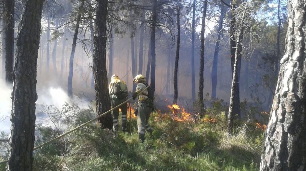 Incendio forestal en Enguera