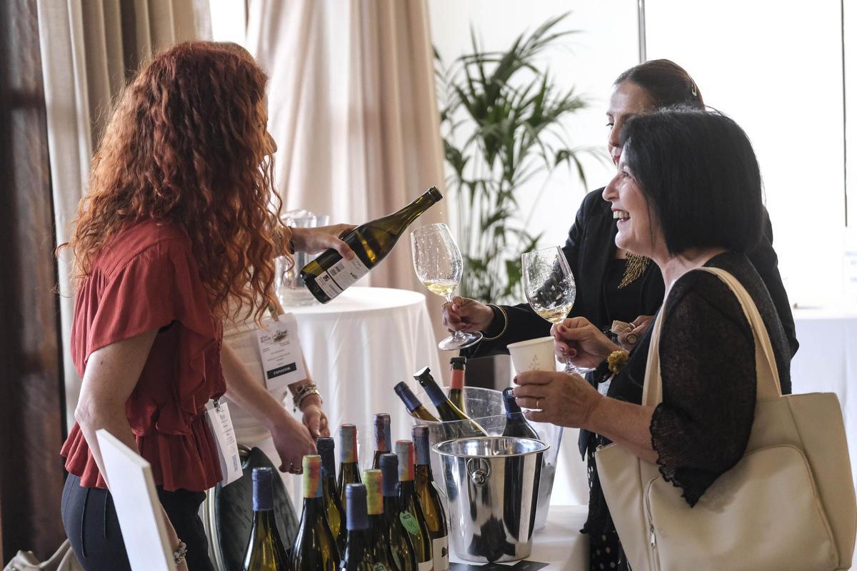 Una cata de vinos canarios en Las Palmas de Gran Canaria.