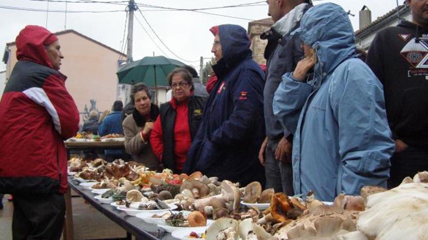 Castañas para dar y tomar