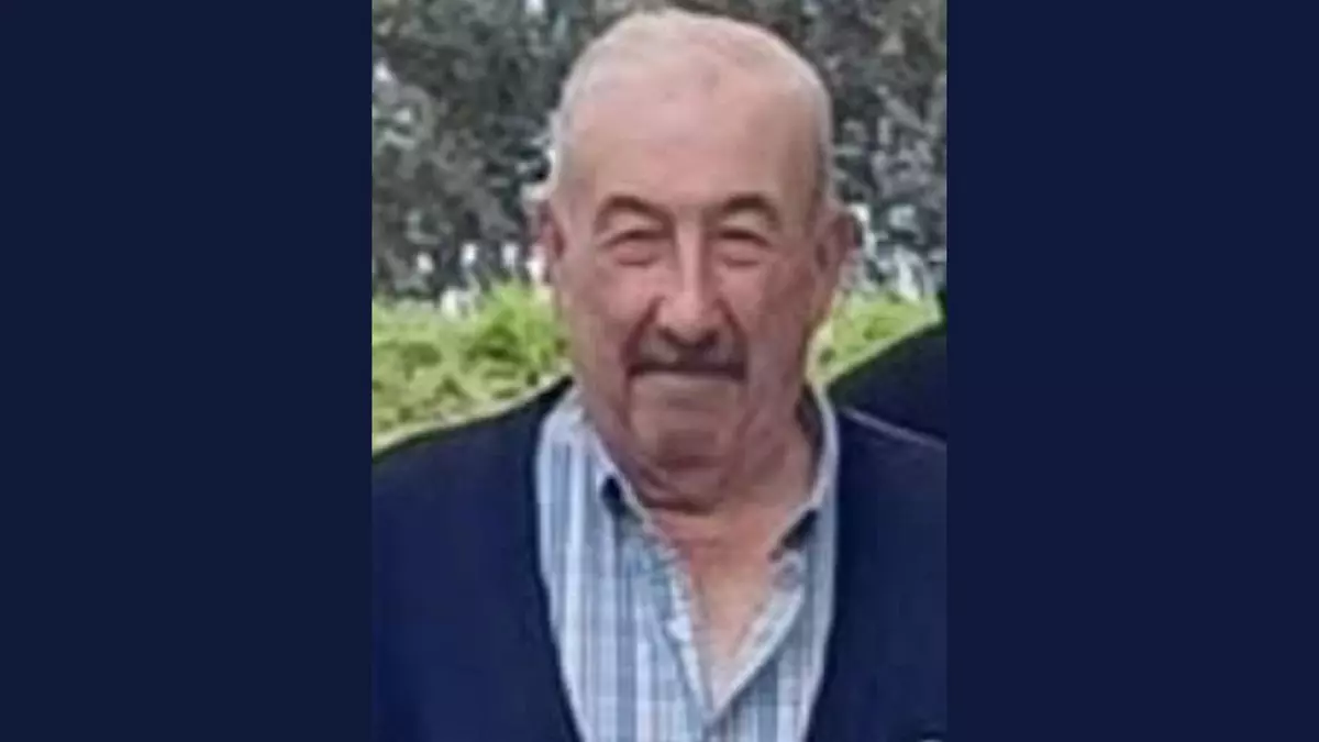 Fallece un concejal de A Coruña tras sufrir un ataque de velutinas