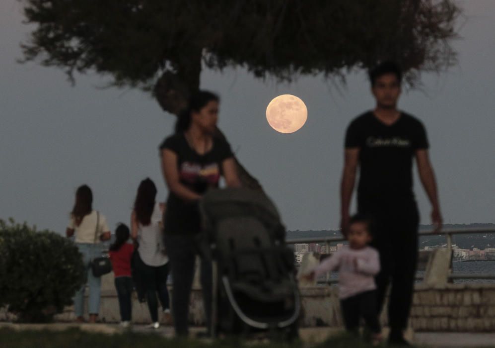 Eclipse de luna en Mallorca: llega la 'luna de fresa'