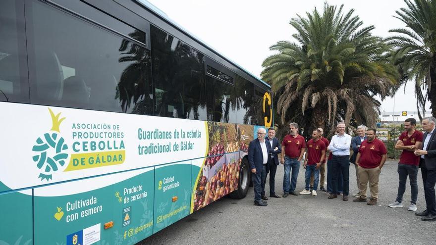 La cebolla de Gáldar se sube a la guagua para proteger su identidad