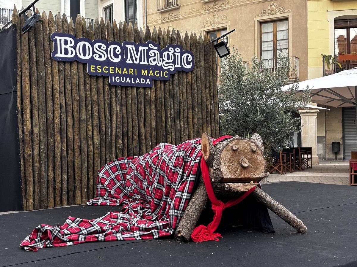 El Tió ja espera les famílies a la plaça de l’Ajuntament d'Igualada