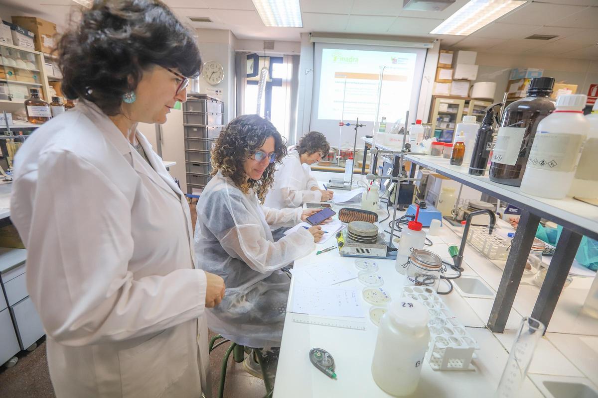 Investigadoras en el laboratorio de Agroquímica de la Escuela Politécnica Superior de Orihuela, de la UMH