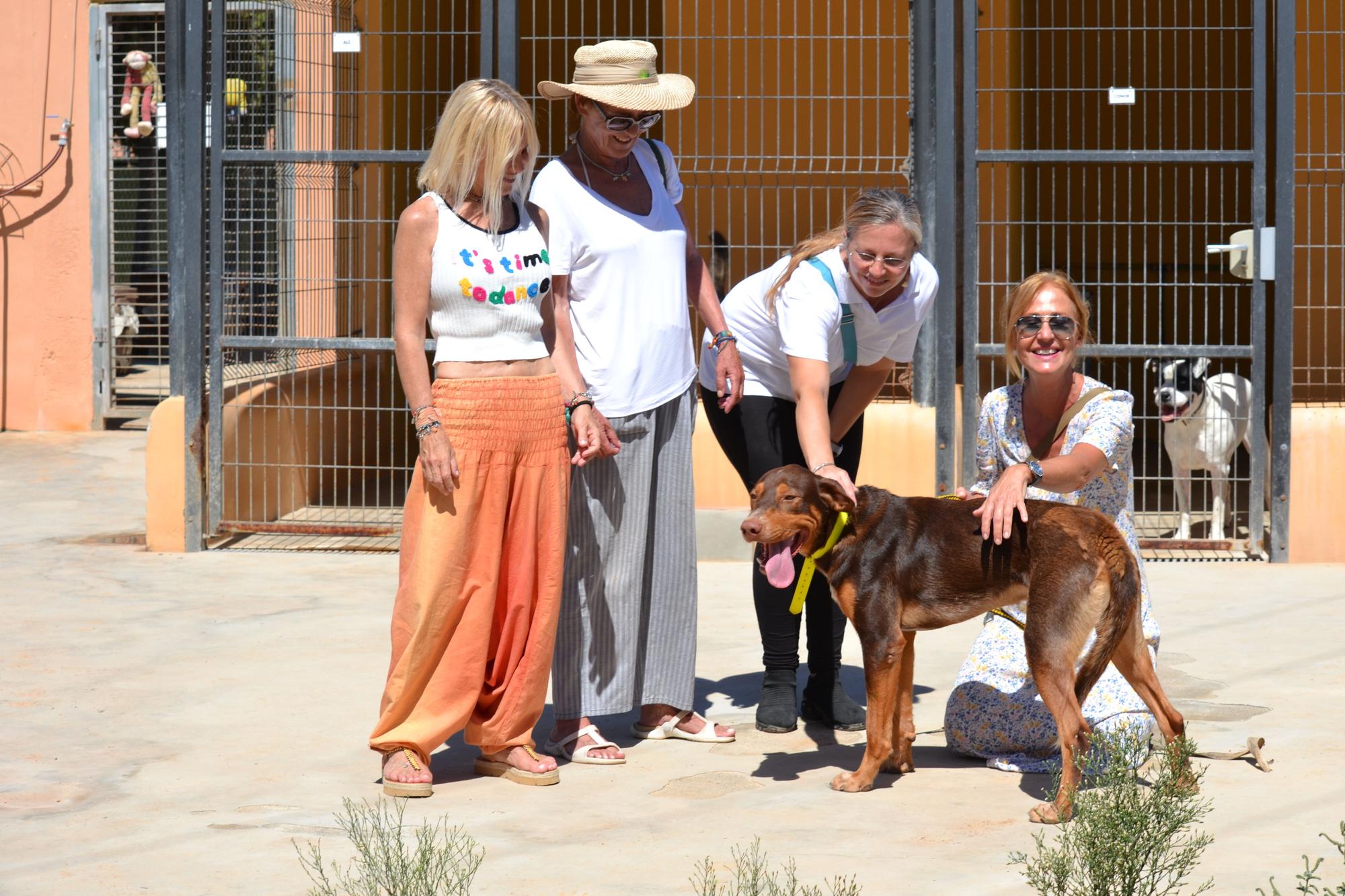 La Duquesa de Alba adopta un perro en Ibiza.