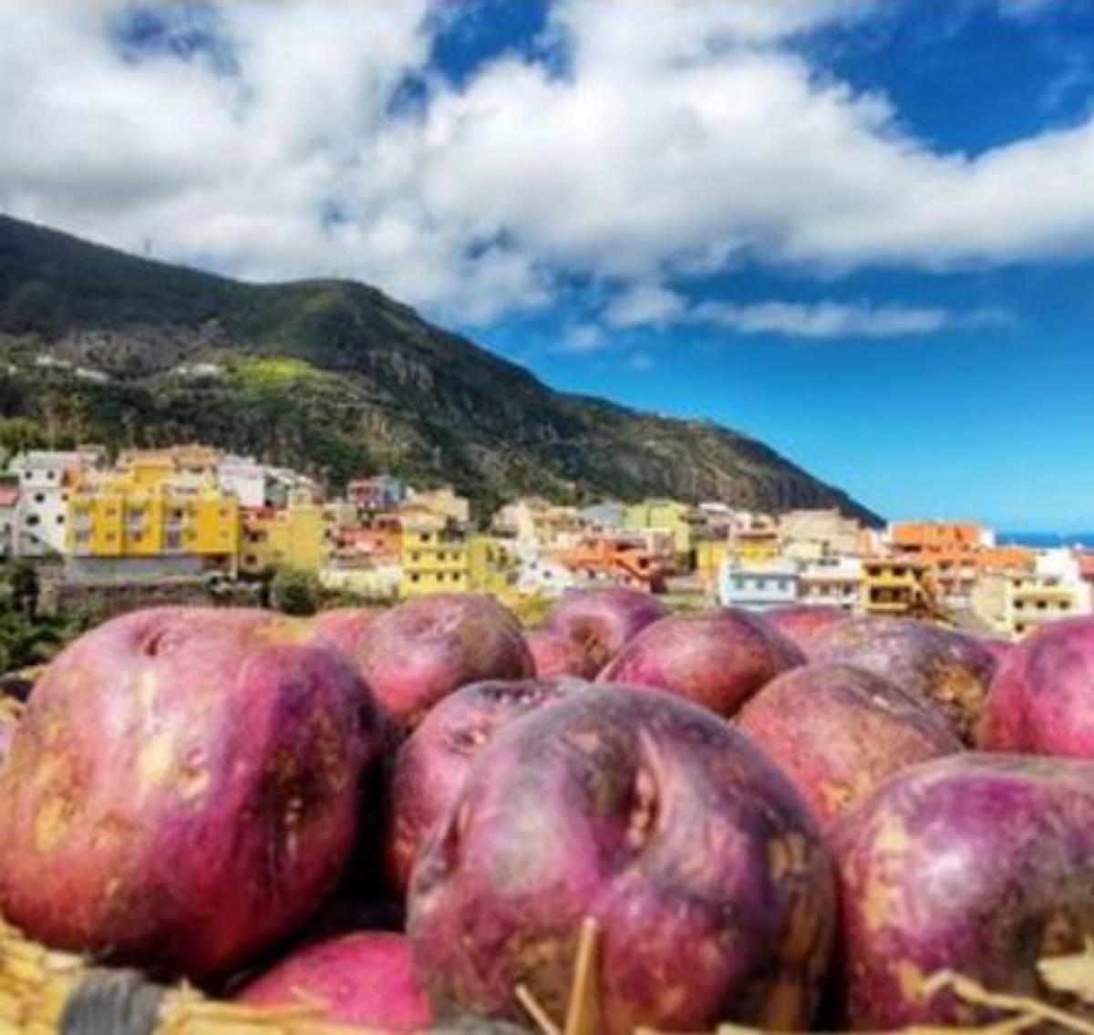 Valleseco, Gran Canaria. | | E.D.