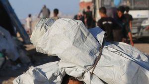 Cec a Gaza