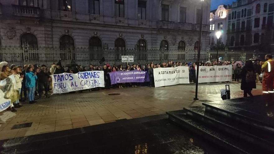 Los ecologistas se concentran en Oviedo y piden restablecer los acotamientos al pastoreo