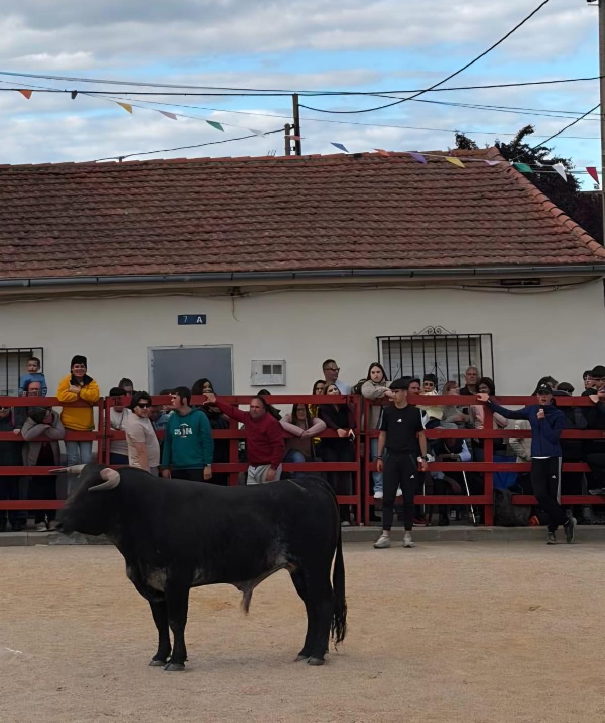 Broche a las fiestas copatronales de Manzanal del Barco Broche a las fiestas copatronales de Manzanal del Barco