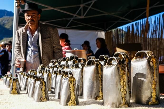 Tejeda.. Fiestas del almendro.  | 01/02/2020 | Fotógrafo: José Carlos Guerra