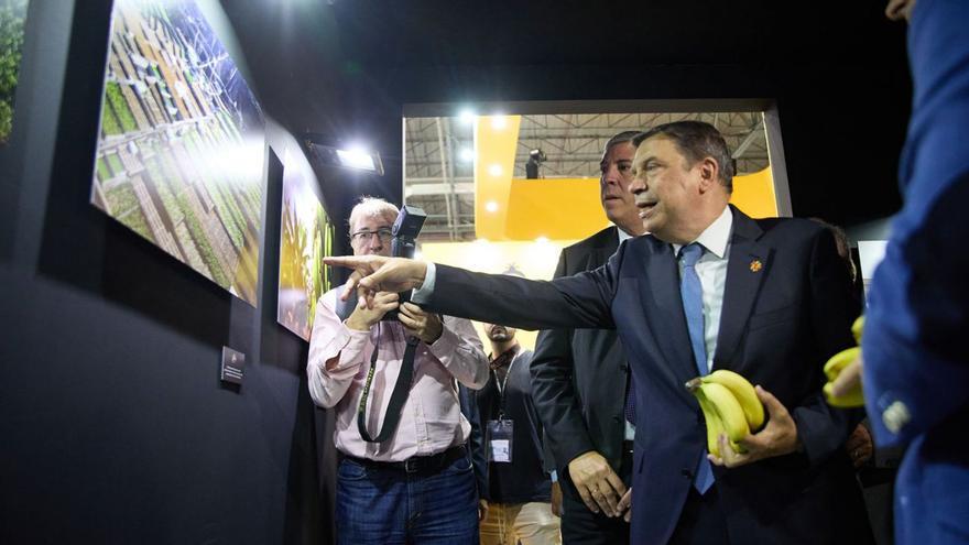 El plátano canario se exhibe en la feria Fruit Attraction de Madrid