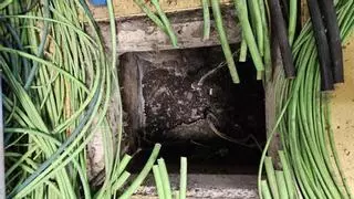El robo de cobre de Viñaoliva en Almendralejo estuvo perpetrado por delincuentes profesionales
