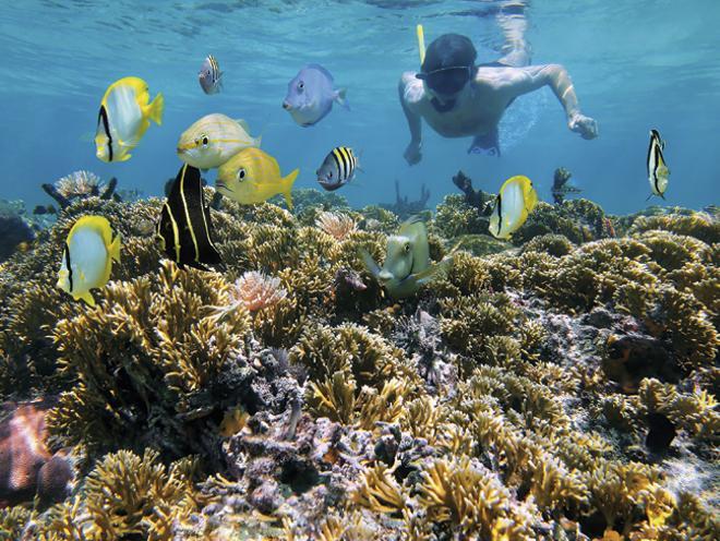 Buceo en Costa Rica