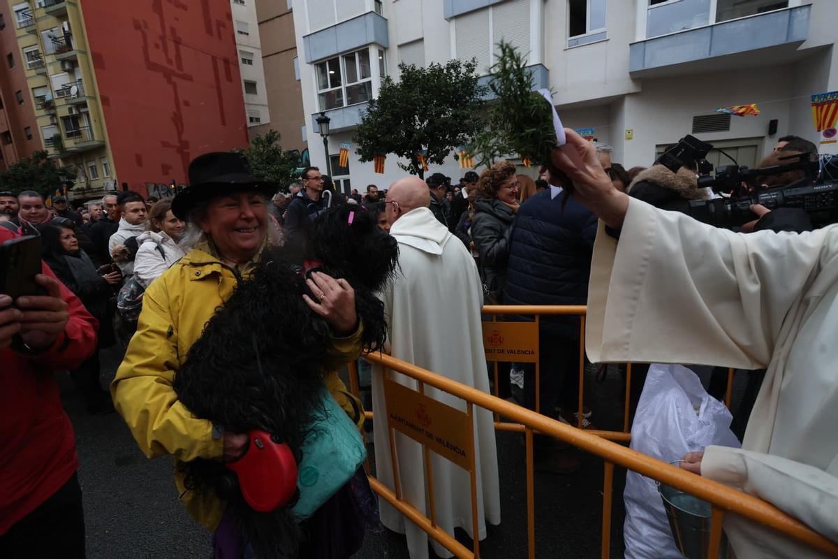 Bendición de animales por Sant Antoni en la calle Sagunt de València
