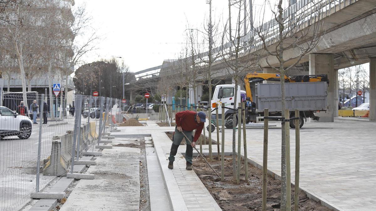 La plantació d'arbrat, l'any passat, a la plaça Joan Brossa.