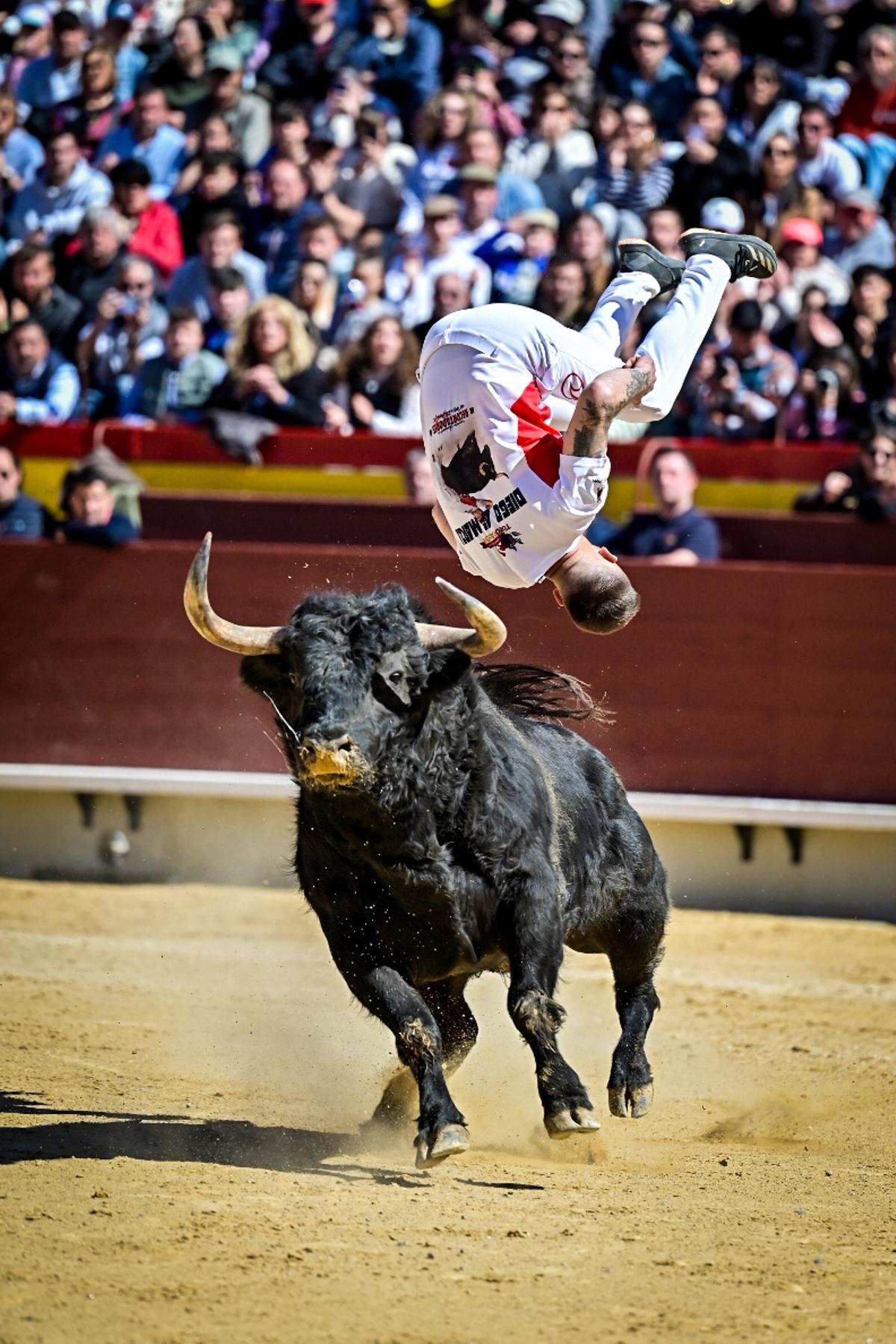 Concurso recortadores