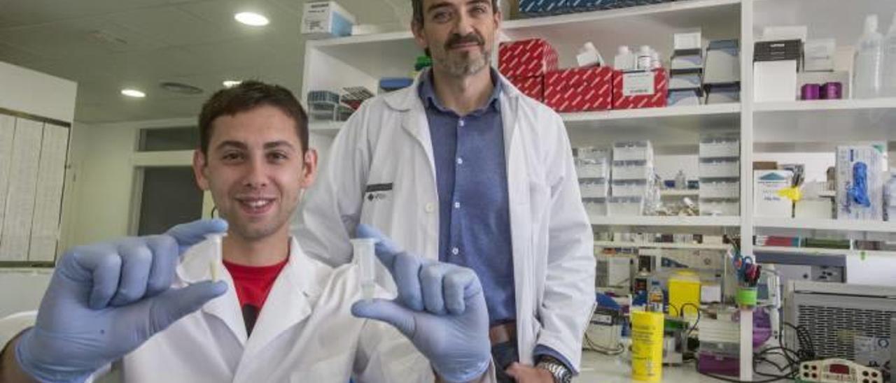 Rubén Francés, a la derecha, junto a otro investigador del Centro de Investigación Biomédica en Red de enfermedades hepáticas y digestivas del Hospital General de Alicante.