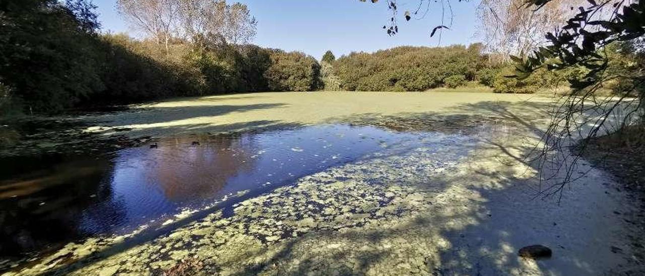 La Laguna de Massó, en la zona de Punta Balea. // Santos Álvarez