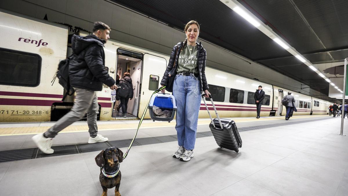 Pasaxeros del AVE asturianu.