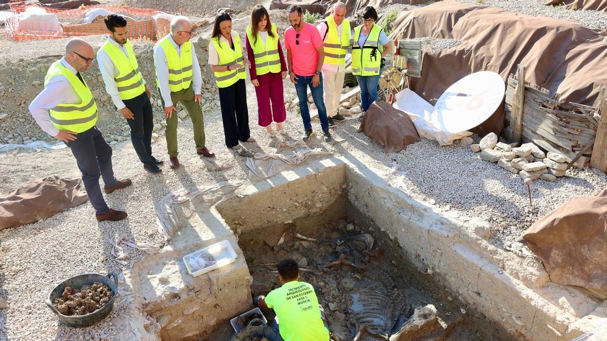 En uno de los sondeos aparecieron los restos de tres yeguas con las herraduras puestas.