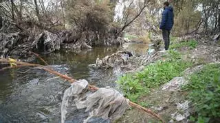 Redes para contener en Elche la invasión de toallitas en la ladera del río Vinalopó
