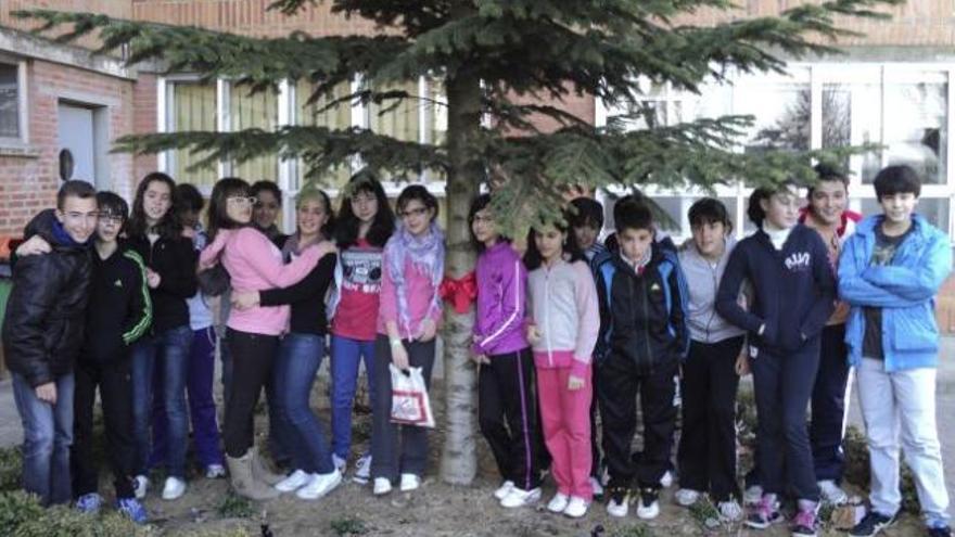 Un grupo de estudiantes bajo uno de los árboles del instituto.