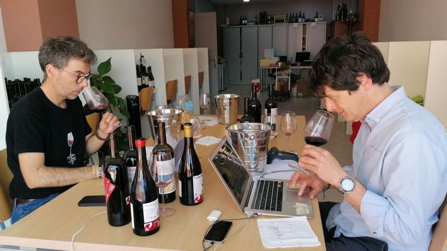 Carlos González, izquierda, y Javier Luengo valoran los vinos tintos, rosados y blancos de la DO Toro. | M. J. C.