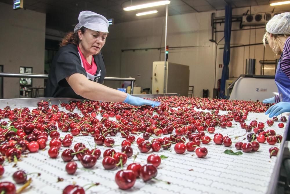 La provincia inicia la campaña de crezas