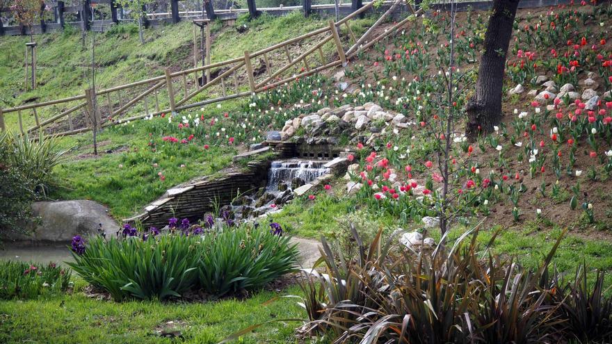 El Parque Grande estrena su nuevo Jardín Japonés con cerezos, tulipanes y rosas