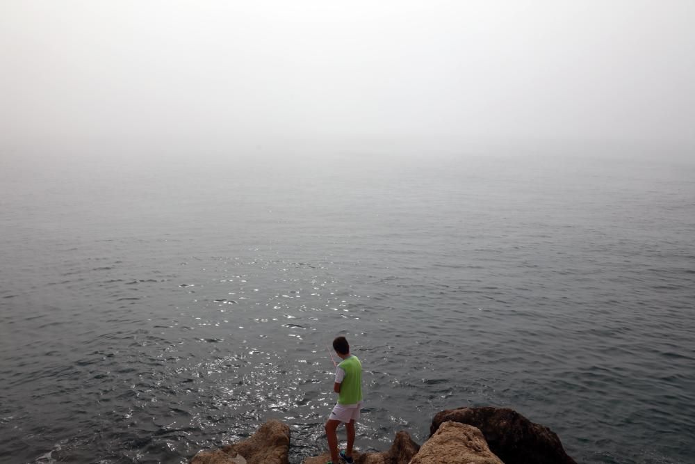 Palma amanece cubierta por la niebla