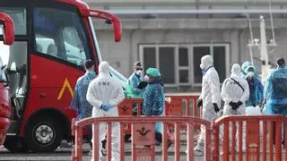 Así ha sido el desembarco de los pasajeros españoles del crucero MV Hondius