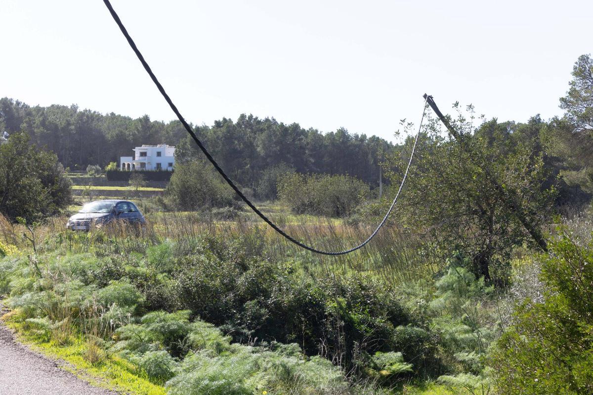 Postes de luz caídos en Sant Miquel.