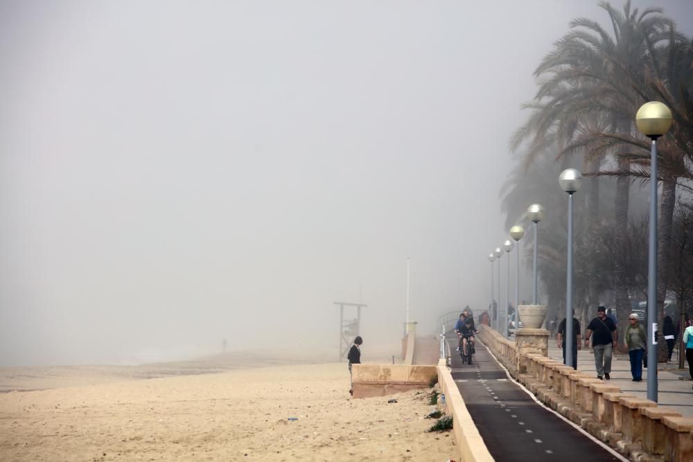 Palma amanece cubierta por la niebla