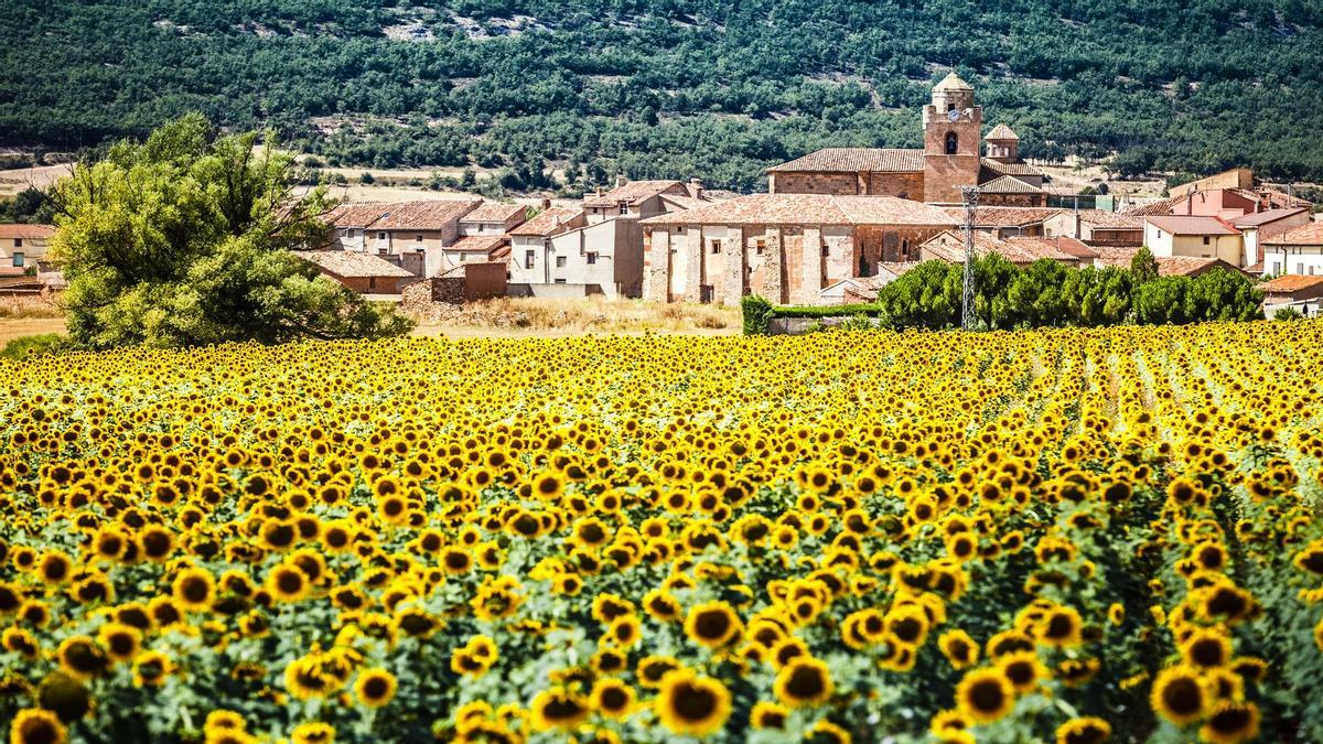 Letizia tiene debilidad por esta típica comida soriana