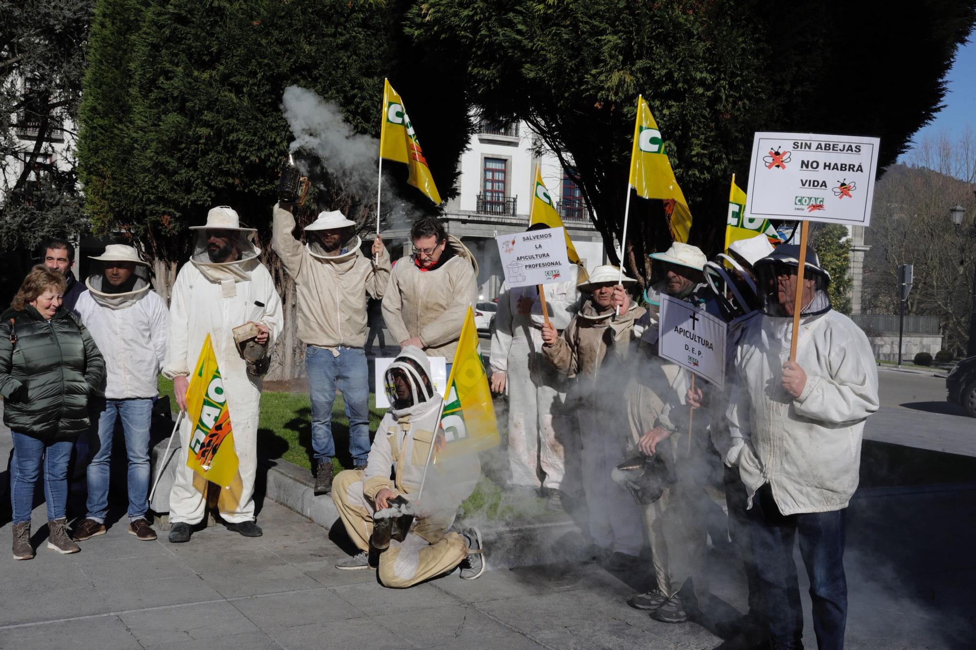 EN IMÁGENES: Así fue la protesta de apicultores en Oviedo