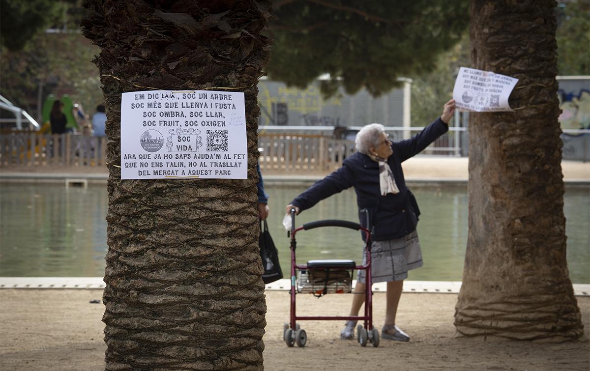 Una señora consulta, meses atrás, uno de los carteles contra la tala de árboles prevista en la primera planificación, que situaba la carpa junto al lago.