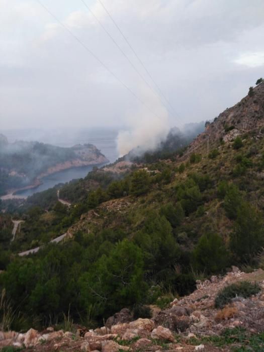 Incendio forestal de nivel 1 en la Mola de Tuent