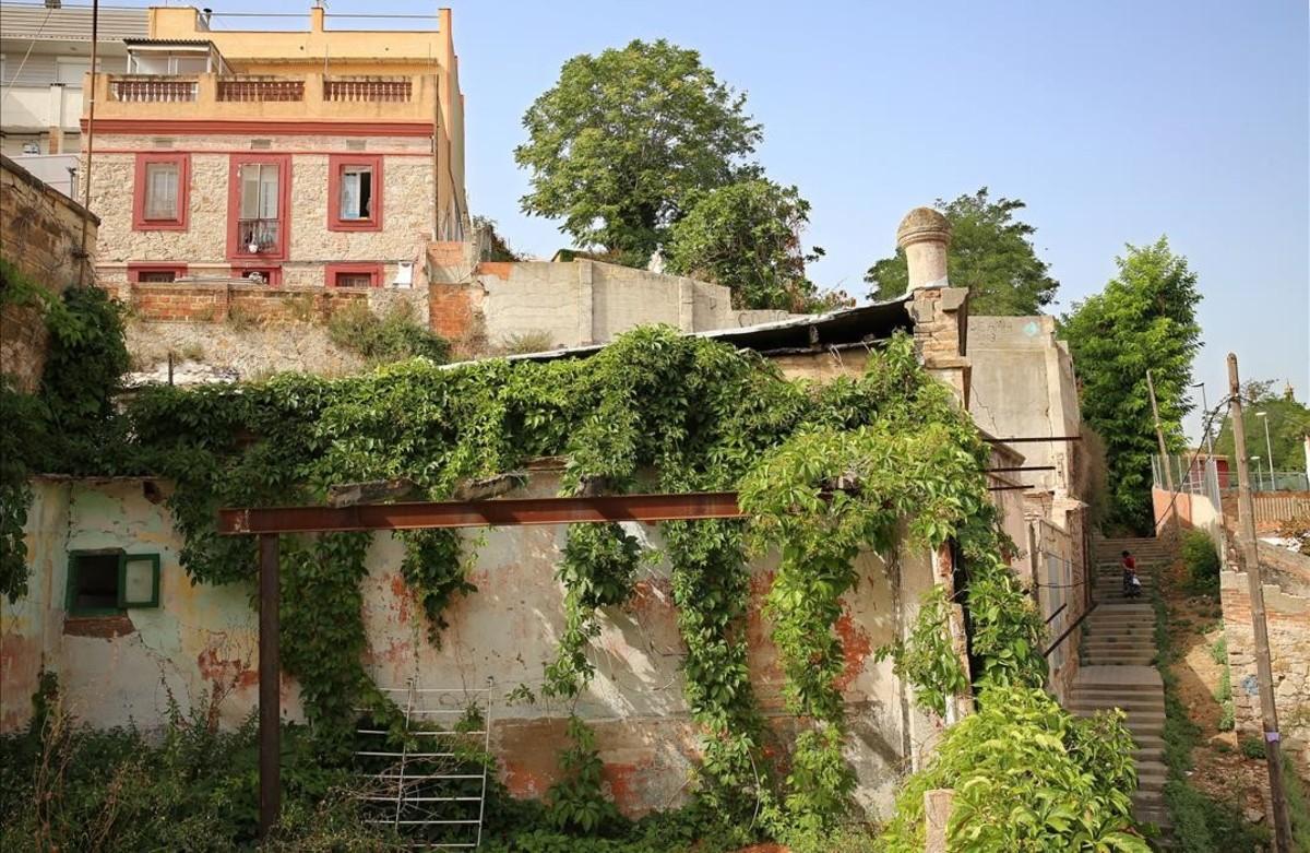 La Mangrana