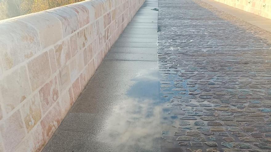 Balsas de agua, este domingo, en el Puente de Piedra de Zamora.
