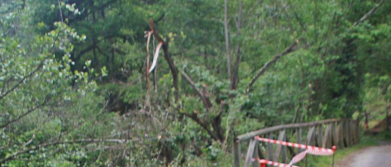 Un tramo de la Senda del Oso en Quirós sin valla protectora.