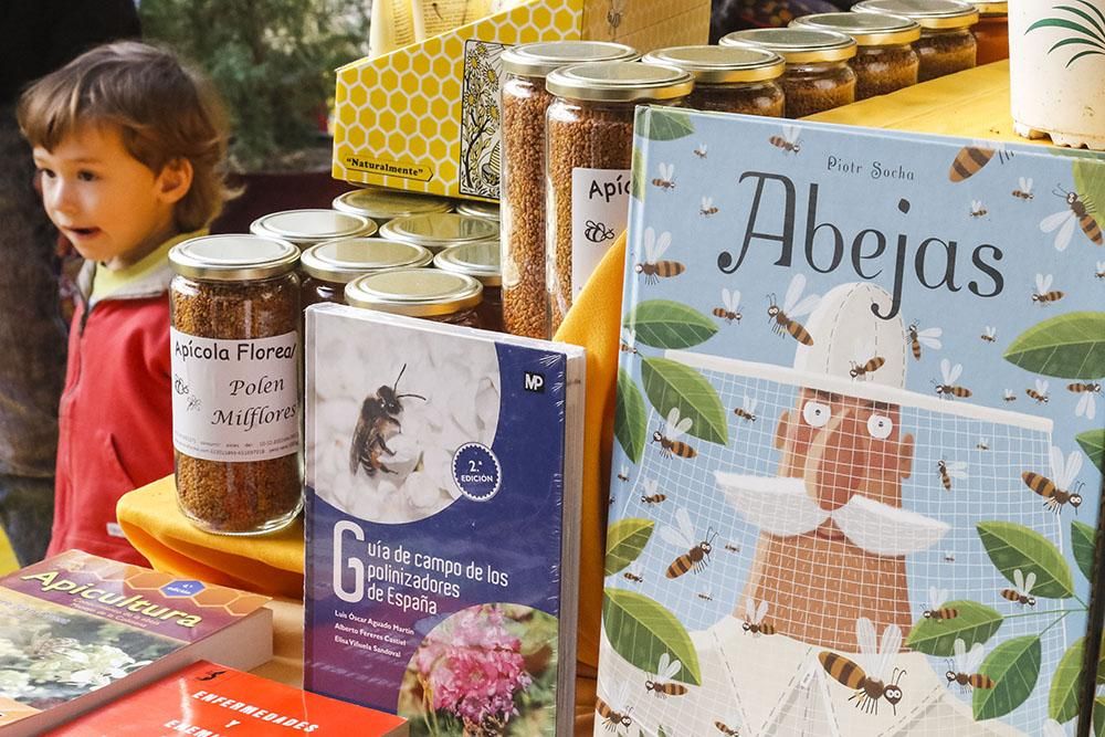 Abejas, cera y mucha miel en Expomiel 2018