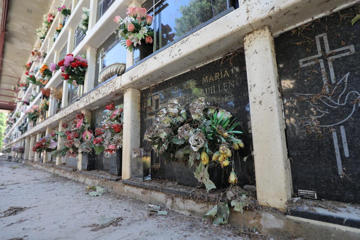 Fotogalería | Grandes daños en el cementerio de Torrero por la tormenta del jueves