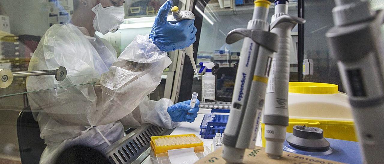 Personal del servicio de Microbiología del Hospital de Sant Joan procesa una muestra. | ALEX DOMÍNGUEZ