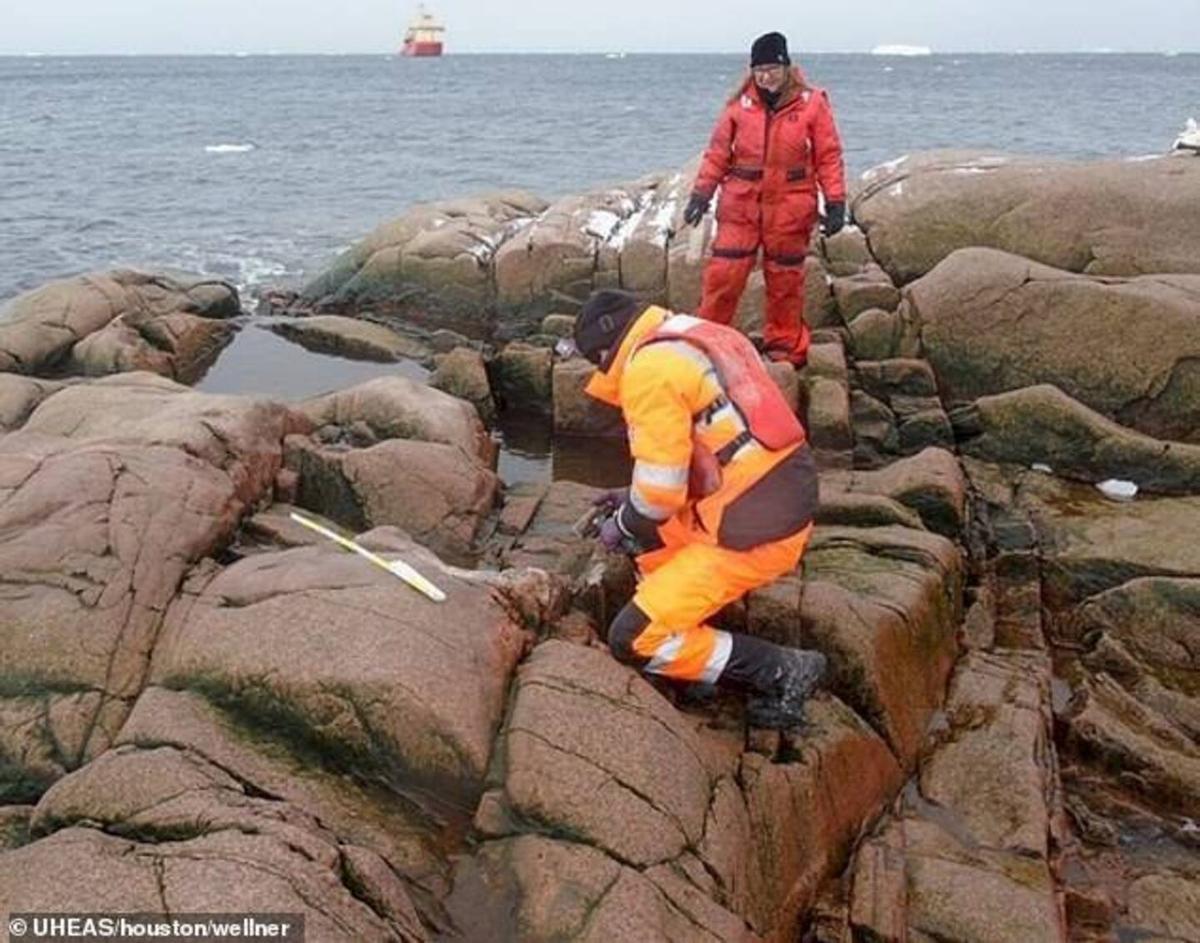 Investigadores en la nueva isla aparecida en Pine Island, en 2020