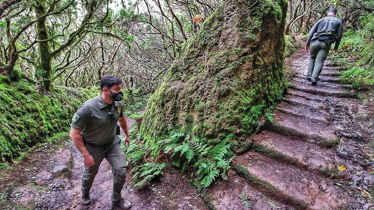 Los agentes del Medio Natural tan pronto informan de los atractivos de Anaga como velan por el cumplimiento de la normativa que tienen encomendada.