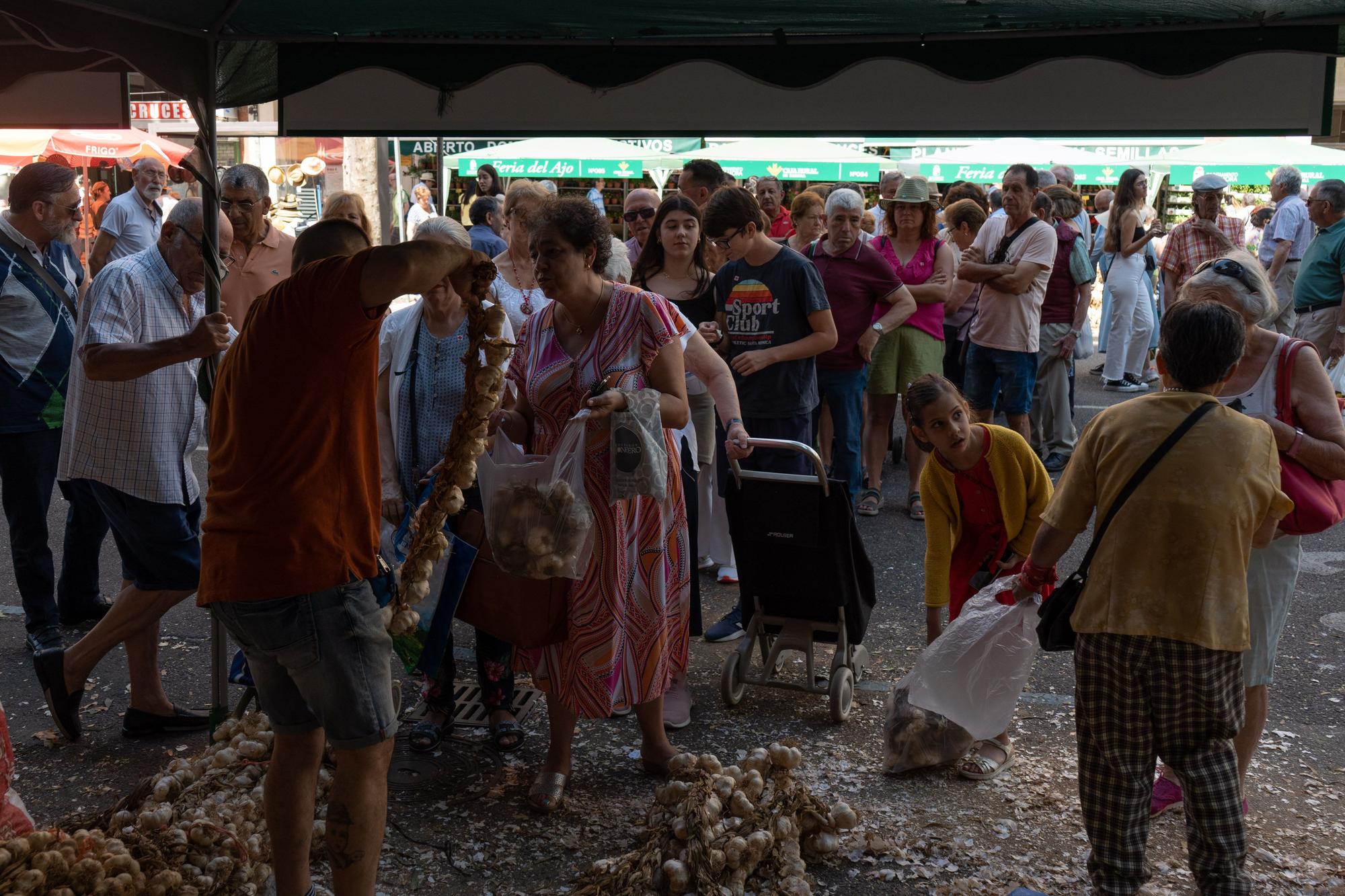GALERÍA | La Feria del Ajo de Zamora, en imágenes